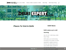Tablet Screenshot of delhiexpert.com